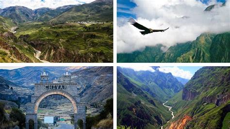 Colca Canyon Full Day Tour Tickets And Information