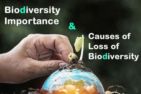 Biodiversity Importance And Causes Of Loss Of Biodiversity Earth Reminder