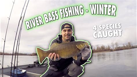 River Bass Fishing - Winter (4 species caught) - YouTube