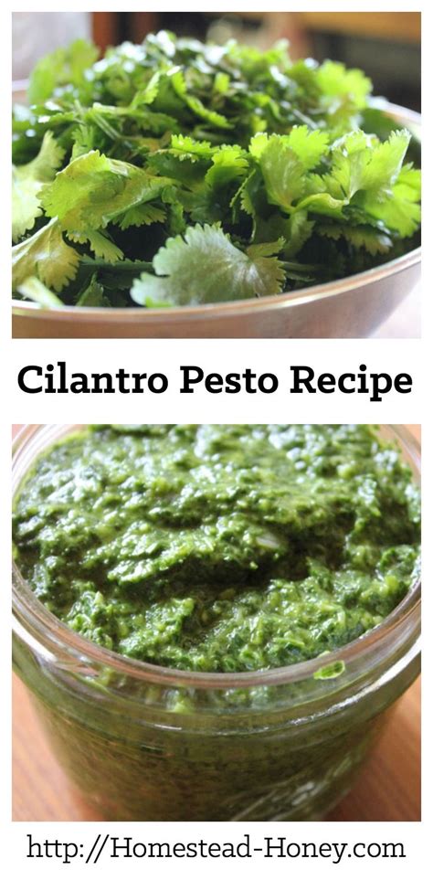In a large skillet, heat the butter or olive oil on medium high heat. Cilantro Pesto Recipe - Homestead Honey | Recipe | Pesto ...