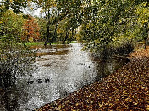Fallen Leaves Along The Camowen River © Kenneth Allen Cc By Sa20