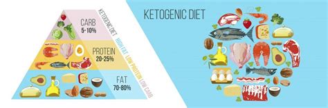 What Is The Keto Diet And How Does It Work Ketomei