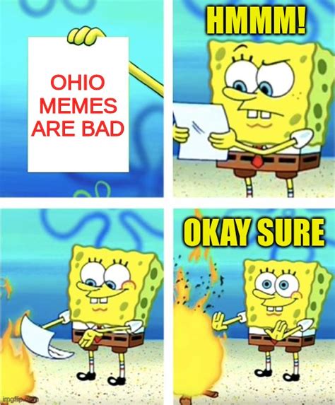 Ohio Meme Imgflip