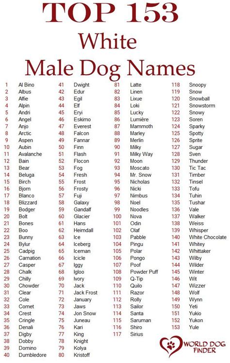 Male White Dog Names Dog Names Dog Names Male Cute Names For Dogs