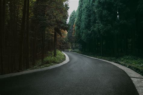The Road In The Mysterious Forest Picture And Hd Photos Free Download