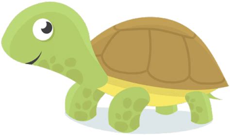 Grüne Schildkröte Png Bild Png All