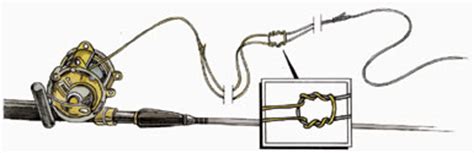Start by simply making two twists in the same direction to form the two loops. Braid mono top shot