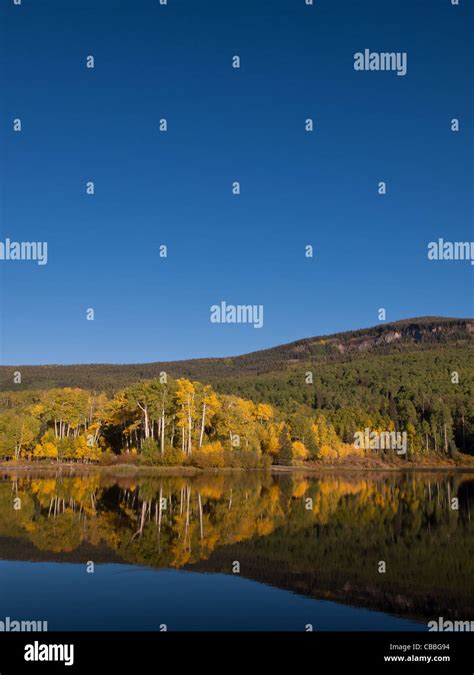 Autumn In Perfect Reflection Of Woods Lake Colorado Stock Photo Alamy