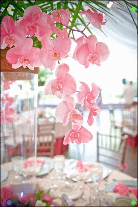 Pink Orchid Centerpieces Wedding Floral Centerpieces Pink Orchids