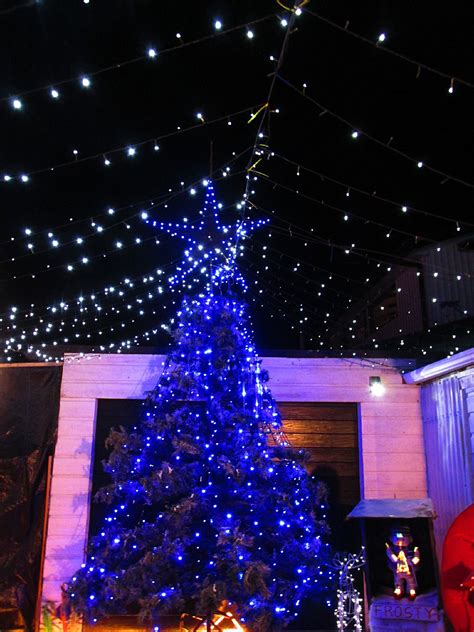 We did not find results for: Marton, New Zealand | Holiday decor, New zealand, Holiday