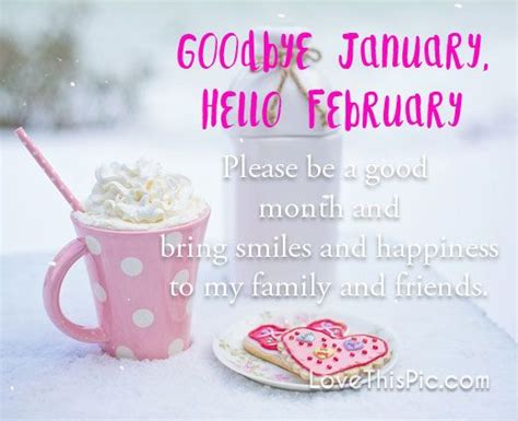 Goodbye January Months Hello Goodbye January February February Quotes