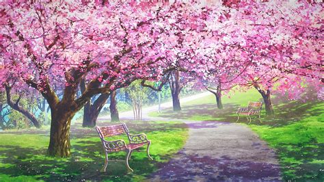 30 Cherry Blossom Wallpaper Anime 1920x1080 Anime Top Wallpaper