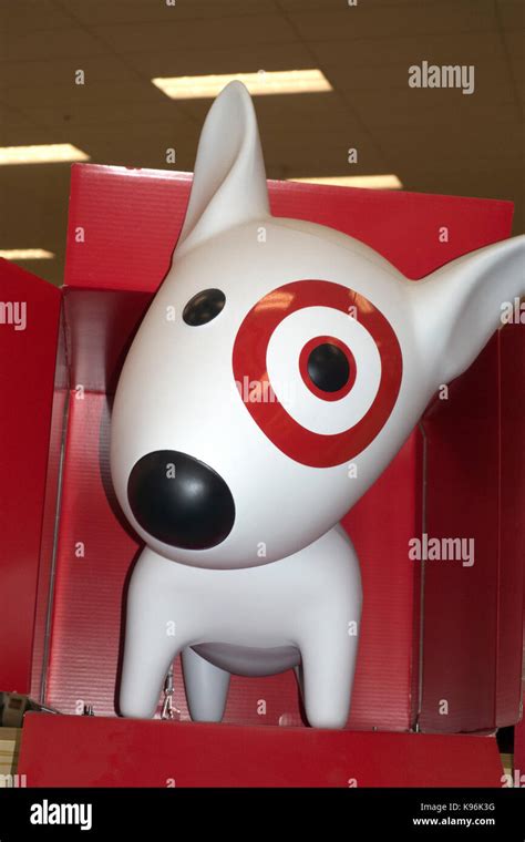 Targets Bullseye Dog Mascot Puppy Found In The Store St Paul