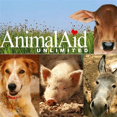 Animal Aid Unlimited Volunteer Sanimale