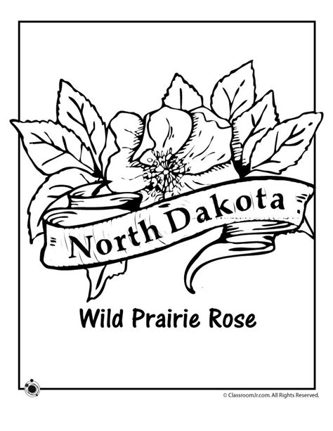 Flag of north dakota coloring page from north dakota category. South Carolina Silhouette at GetDrawings | Free download