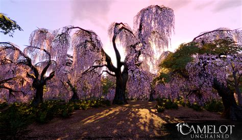Screenshots Camelot Unchained