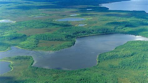 Creating Worlds Largest Boreal Protected Forest Gateway Gazette