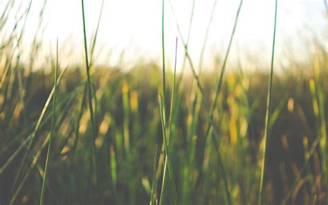 Tons of awesome simple desktop wallpapers to download for free. photography, Simple background, Nature Wallpapers HD / Desktop and Mobile Backgrounds