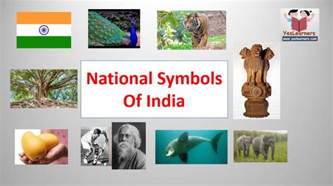 National Symbols Of India With Pictures