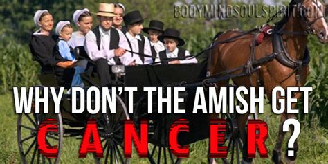 Why Dont The Amish Get Cancer