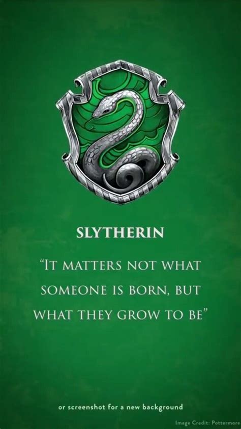 See, that's what the app is perfect for. Can you be a good person and be in Slytherin house? - Quora