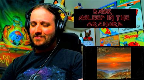 Bask Asleep In The Orchard Reaction Youtube