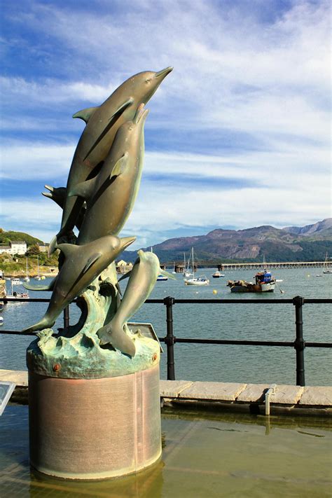 Four Gray Dolphins Statue Near Water · Free Stock Photo