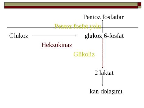 Clylys — shirin va lysis — parchalanish) — uglevodlar (asosan glyukoza)tt sut kislotasigacha anaerob parchalanish jarayoni; Glikoliz veya nükleotid metabolizmasındaki enzim ...