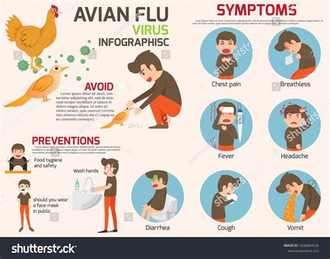 Often, the symptoms are similar to the seasonal. Bird Flu : Influenza Bird Flu / Bird flu, or avian flu, is ...