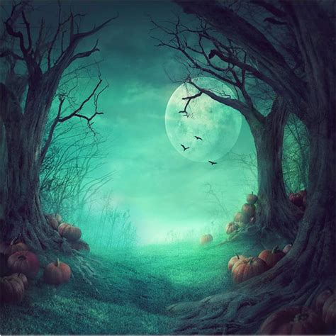 Wolada 10x10ft Halloween Night Photography Backdrops Horror Forest