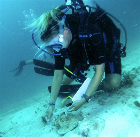 Marine Life Conservation Assistant Volunteer In Belize 2023