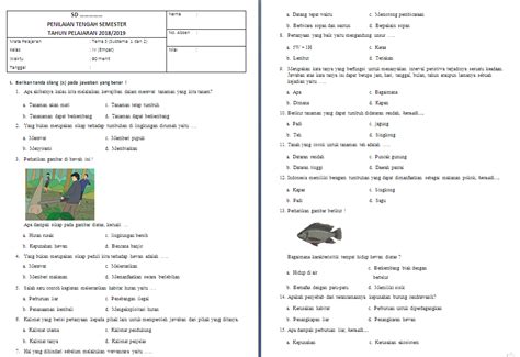 Soal Tema 3 Subtema 2 Kelas 3 Homecare24