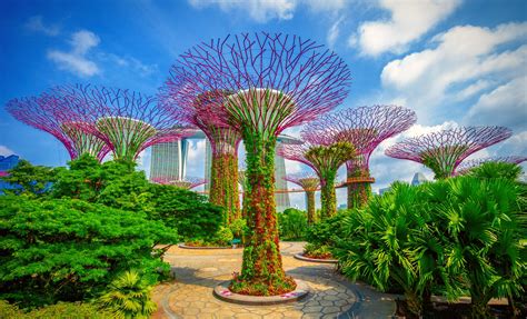 Book the most popular tickets in gardens by the bay. Exploring the Gardens by the Bay On Your Own