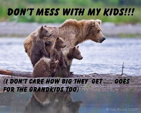 Dont Mess With Mama Bear Quotes Quotesgram