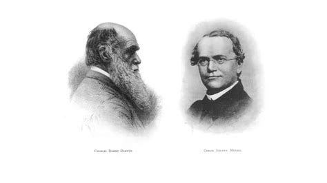 Mendel Y Darwin Una Relación Enigmática