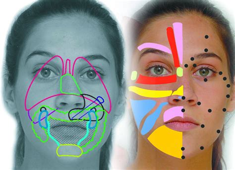 reflexología facial — dsalud