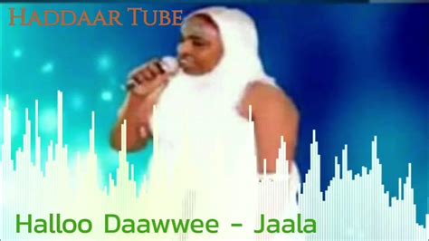 Best Oromo Music Halloo Daawwee Jaala Haddaar Tube Youtube