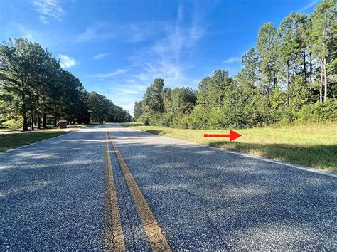 33 Acres Of Residential Land For Sale In Fortson Georgia Landsearch