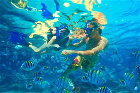 Snorkeling Safari: Explore Bali's Best Snorkeling Locations in One Trip