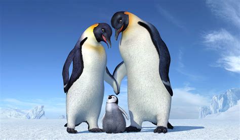 What Kind Of Penguin Is Mumble From Happy Feet Watch Full Happy Feet