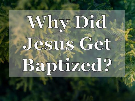 “why Did Jesus Get Baptized” Matts Messages Matt Mitchell Hot
