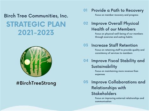 2021 2023 Strategic Plan Birch Tree Communities Inc