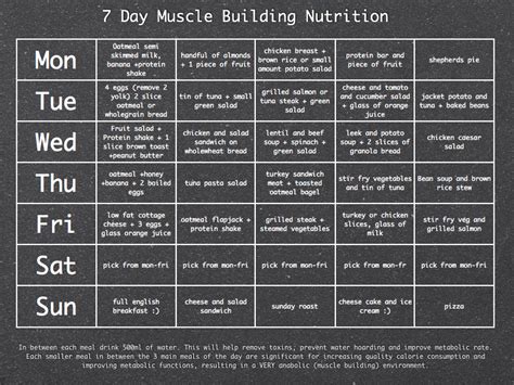 3d 7 Day Muscle Building Meal Planner
