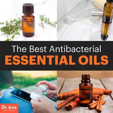 Top 4 Antibacterial Essential Oils Dr Axe