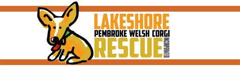 Available Dogs Lakeshore Pembroke Welsh Corgi Rescue Inc