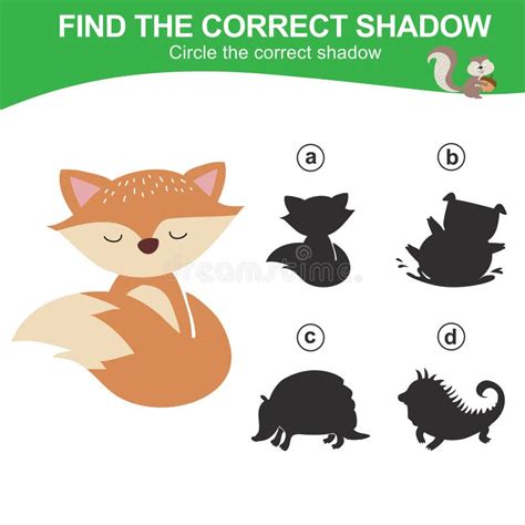 Find The Correct Shadow Of The Fox Matching Animal Shadow Game For