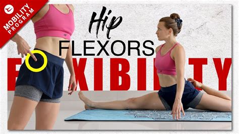 Best Hip Flexors Stretches Mobility And Flexibility Workout Youtube