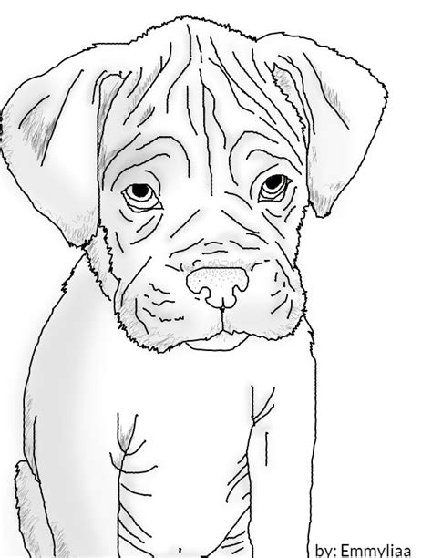 Boxer Puppy Lineart Dog Drawing Dog Coloring Page Boxer Dogs Art