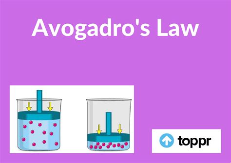 Avogadros Law Definition Formula Derivation Examples