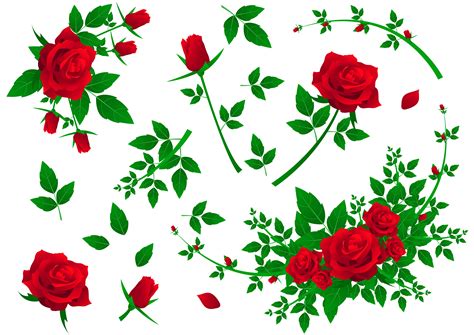 Free Vector Roses Photos Cantik